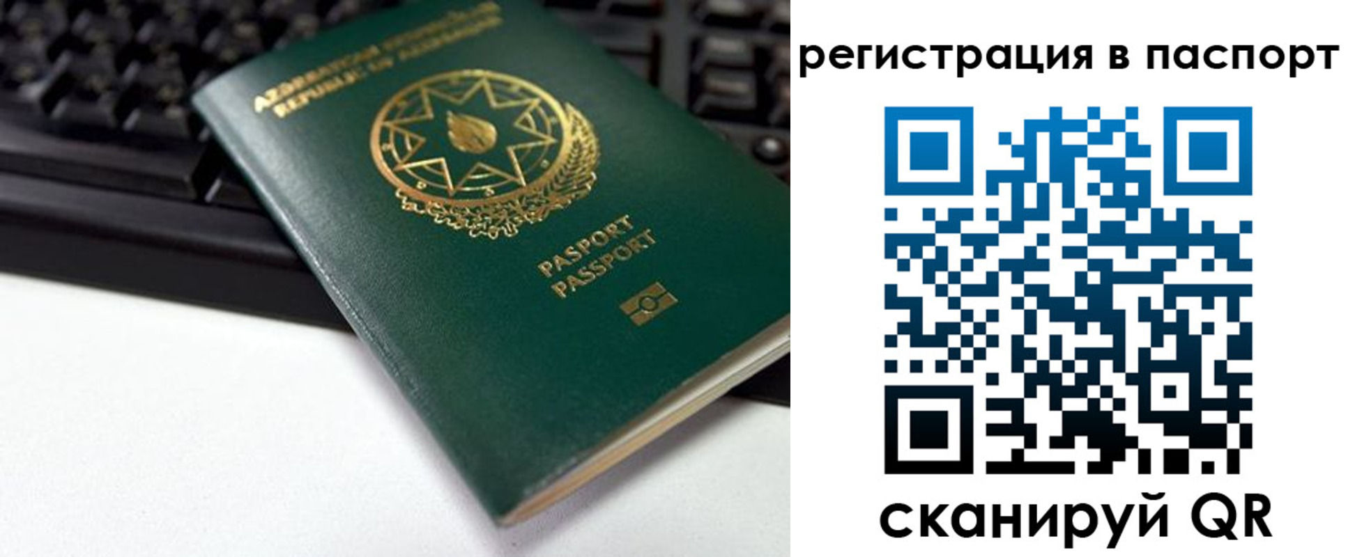 временная регистрация для всех в Ельне