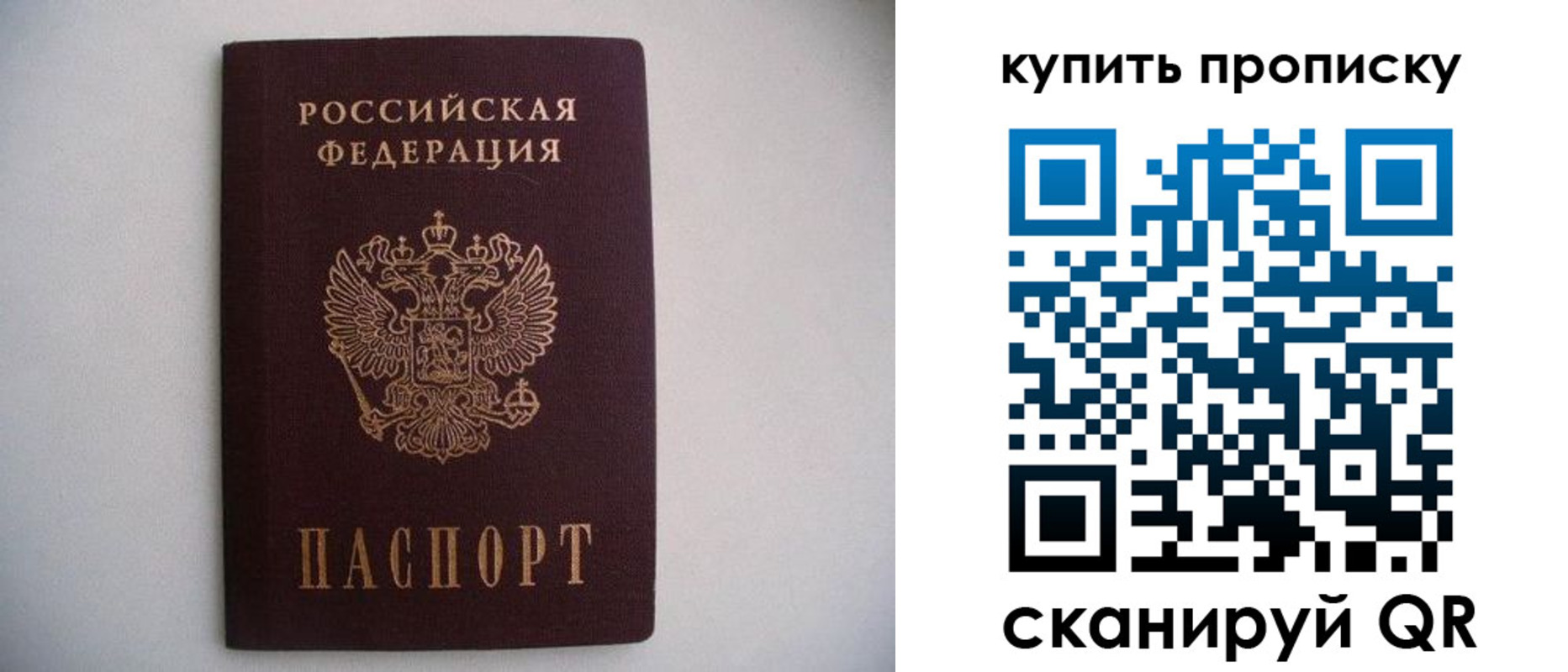 временная регистрация в Ельне
