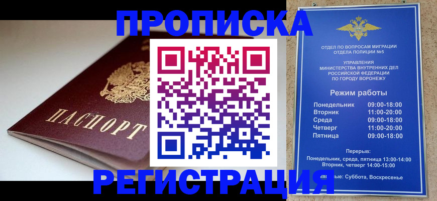 найти адрес прописки в Ельне